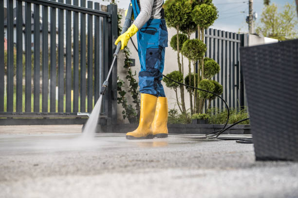 Best Vinyl Siding Pressure Washing in Lone Star, TX